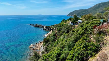 Strand,Küste,Meer,Wasser,Bäume