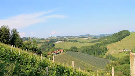 Oesterreich, Suedsteiermark, Reise Oesterreich, Suedsteiermark Weinberge f