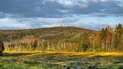 Harz
