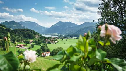 Urlaub auf dem Bauernhof