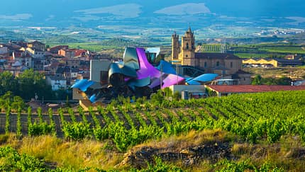 Hotel Marques de Riscal, Weinberge, Spanien