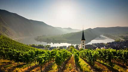 Moselschleife, Rheinland-Pfalz, Mosel, Weinberg, Bremm, Kirche