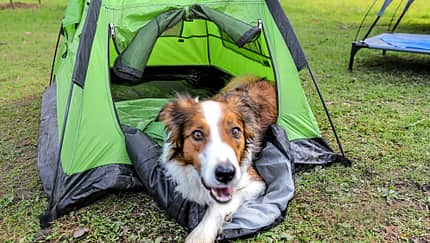 Campingplatz Hundehalter f