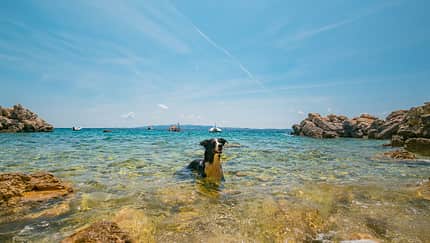 reise-tipp, wohnmobil-touren, november Wohnmobil-Touren November - Hunde Camping