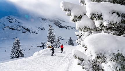 Skigebiet, Winterlandschaft, Skifahrer, NadelbŠume
