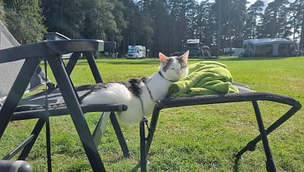 Camper-Tagebuch - Liege
