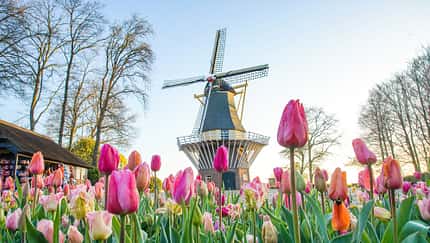 Reise Niedelande Lisse i