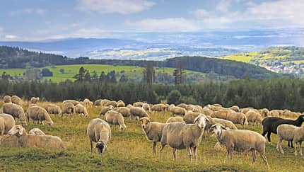 Reise Vogelsberg Naturpark f