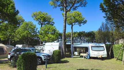 Campingplatz ohne Hund? Hier finden Sie die besten