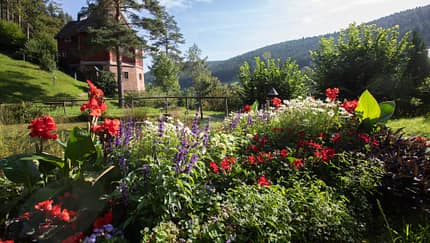 Gartenschau in Freudenstadt & Baiersbronn Veranstaltung