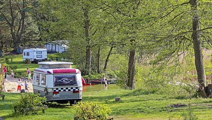 Naturcamping Zum Hexenwaeldchen