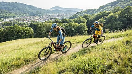Zu den Trails geht es auf idyllischen Forstwegen bergauf. Mountainbiken in Freiburg.