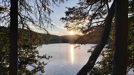 Edersee, Bäume, Sonnenuntergang