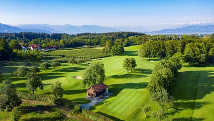 Golfen am Bodensee: Golf-Cup 2025