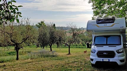 Feld, Bäume, Wohnmobil