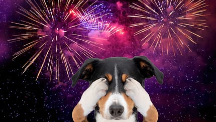 Purple Firework celebrate anniversary happy new year 2025, 4th of july holiday festival. Purple firework in night time celebrate national holiday. Violet firework Countdown to new year 2025 festival Purple Firework celebrate anniversary happy new year 2025, 4th of july holiday festival. Purple firework in night time celebrate national holiday. Violet firework Countdown to new year 2025 festival