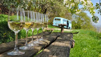 Pfalz, Camping, Weingläser, Van, Weinprobe Pfalz, Camping, Weingläser, Van, Weinprobe