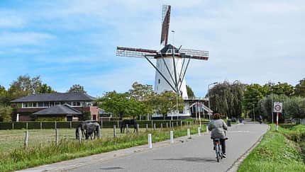 Stellplatzfokus, Zeeland, Niederlande, Windmühle, Goes f_SPF-NL-Zeeland_Windmühle