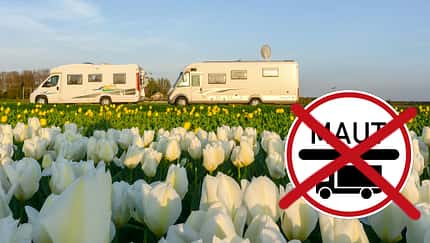 Niederlande, Womos, Tulpen, Maut-Schild
