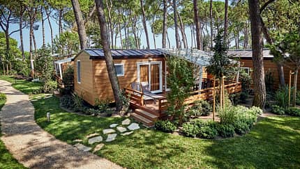 deifiori.it deifiori.it