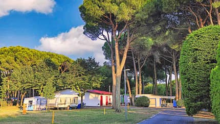 Camping Village Al Boschetto, Campingplatz, Italien, Venedig, Parzellen