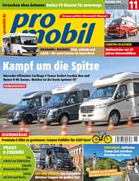 PRO 11/20