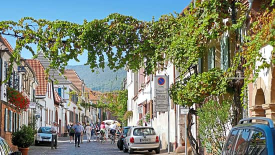 Reise-Tipp Pfalz 