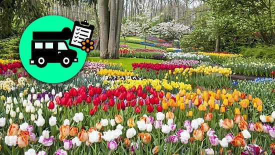 Keukenhof Niederlande