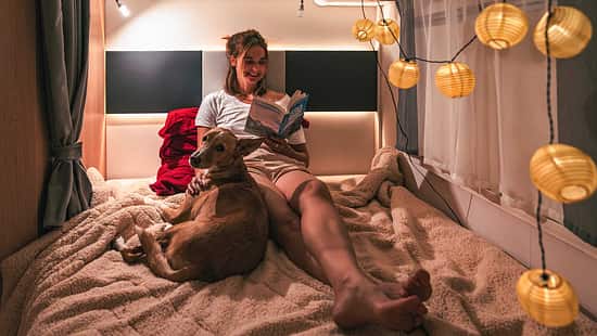 i_Camping_mit_Hund_Hundedecke