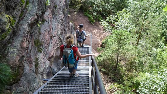 Pfalz, Camping, Dahner Felsenpfad