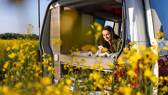Camping, Frühling, Blumen, Campervan