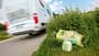 Wer Müll liegen lässt, bringt alle Reisemobilisten in Misskredit.