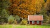 Schwedenhaus Im Herbstwald