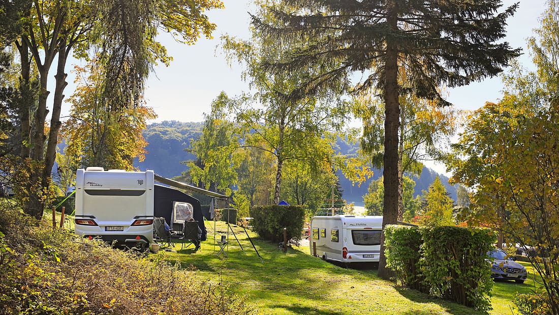 Campingplatz-Tipp Hessen: Reiterparadies Campingpark