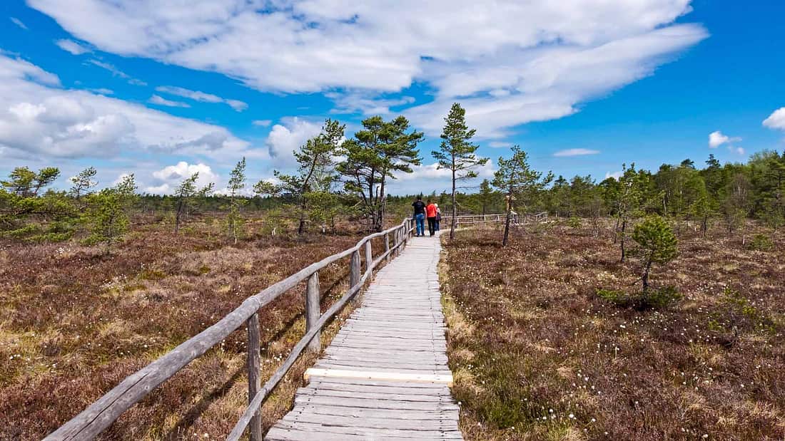Caravan Resort Gützkow zwischen Usedom und Rügen in der Nähe der Ostsee