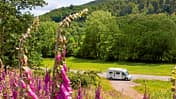 Aufmacher Waldecker Land