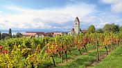 Wohnmobil-Tipp: Hagnau am Bodensee