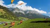 Gleitschirmflieger am Bergmassiv La Tournette über dem Col de la Forclaz