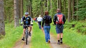 Reise-Tipp: Böhmerwald