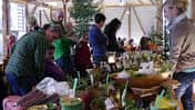 Das Hofgut Hopfenburg feierte Anfang Dezember einen großen Adventsmarkt und präsentierte eine positive Bilanz der Saison 2013.