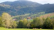 Ausblick
