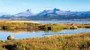 Ratgeber Nordland