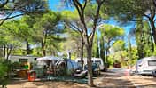 Campingplatz Park Playa Bara