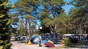 Camping Morski Nr. 21 in Polen