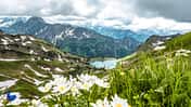 Der Seealpsee