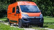 Clever Van Celebration (2020)