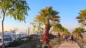 Marjal Resorts Costa Blanca