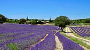 Reise Ardeche Frankreich