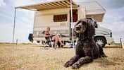 Alkoven mit Hund