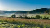 Odenwald